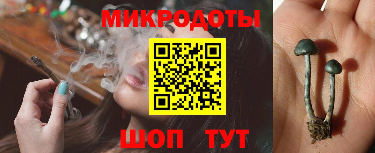 где можно купить наркотик  Галлюциногенные грибы Cubensis  Вход с VPN  Галлюциногенные грибы Cubensis  Сокол 